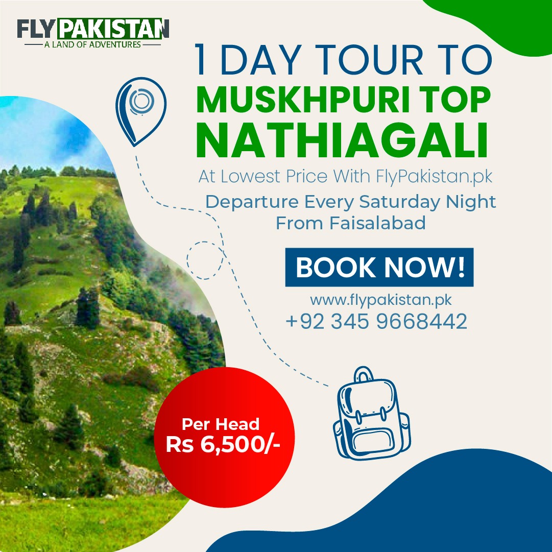 Book Deal 01 Day Tour To Mushkpuri Top NathiaGali